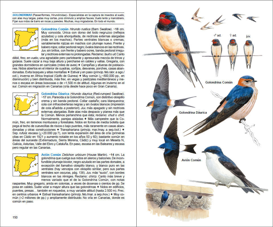 Sample page of Aves de España Aves de España sample page